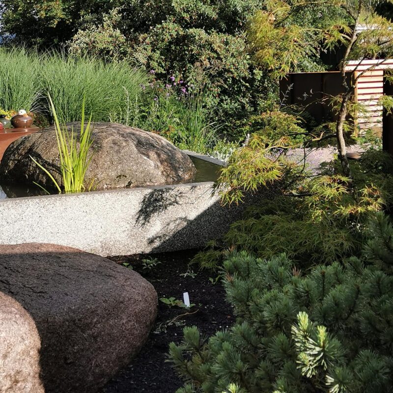 Bassins et Bacs Mulhouse 4