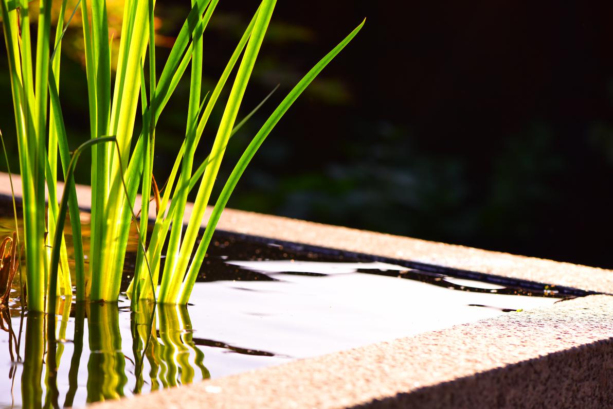 Les bassins Montbéliard