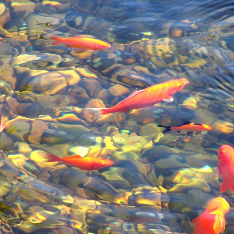 photos page d&#8217;accueil Illzach 3