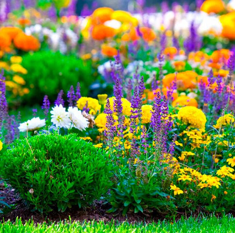 photos page d&#8217;accueil Rixheim 6