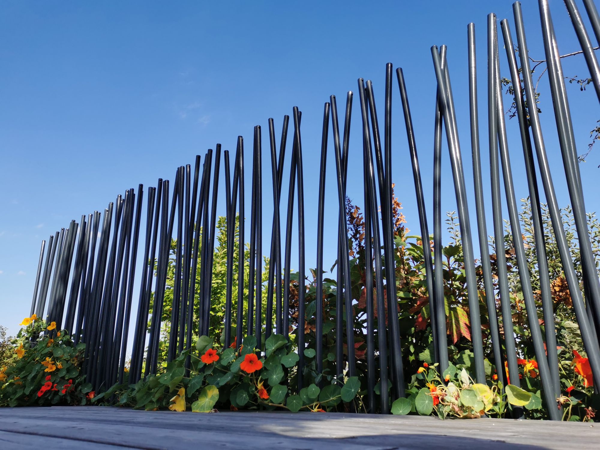 Brande, bois ou grillage : quelle clôture choisir pour un jardin harmonieux ? Rixheim