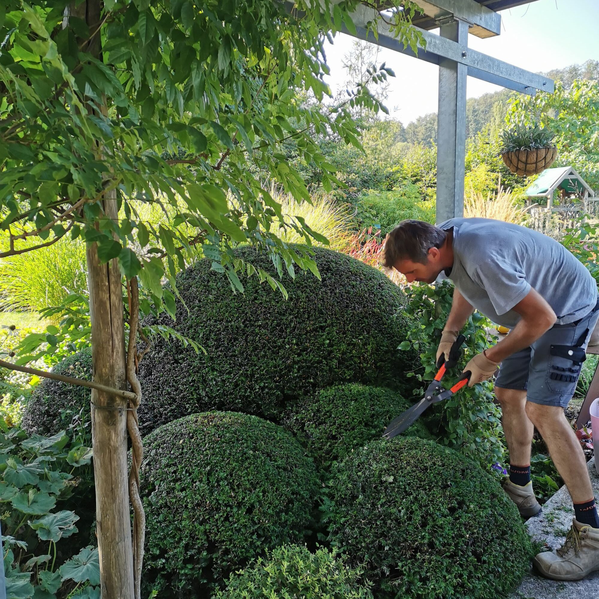 Entretien de jardin proche de Mulhouse et Wittelsheim Saint-Dié-des-Vosges
