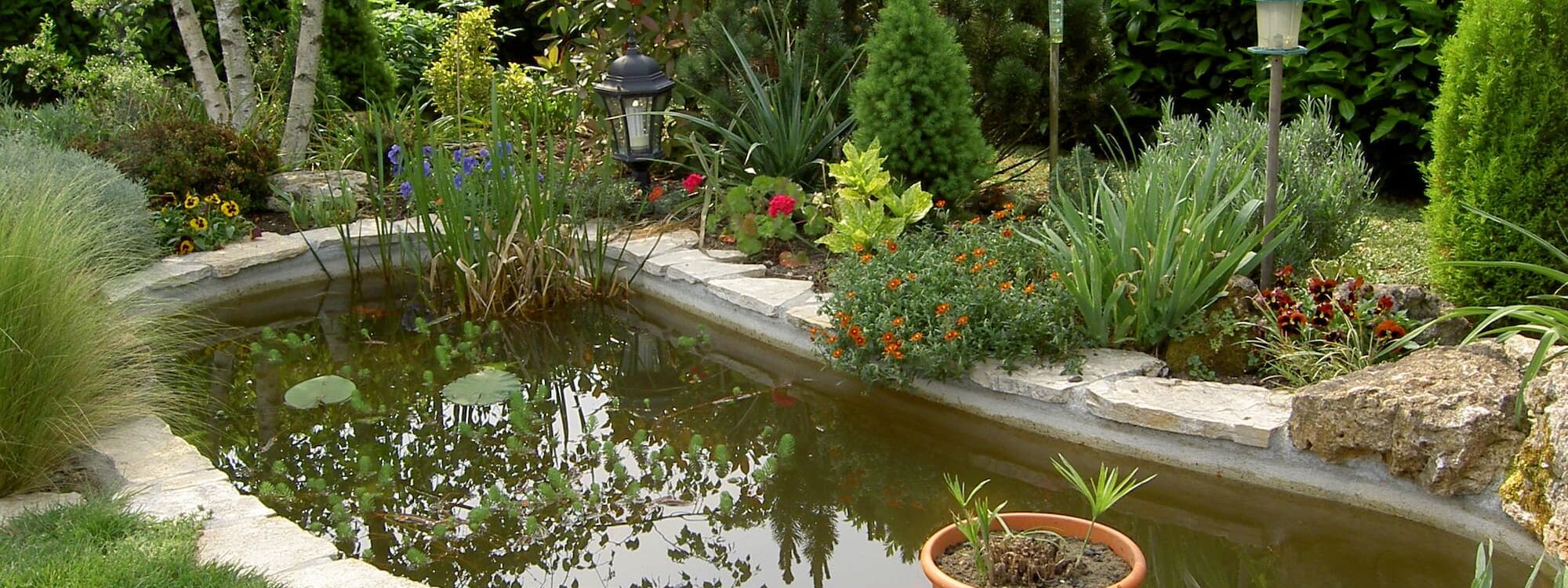 BASSIN_NATUREL_JARDIN 2000X750 | Jardin et Paysage Pourquoi installer un bassin naturel dans votre jardin ? Riedisheim