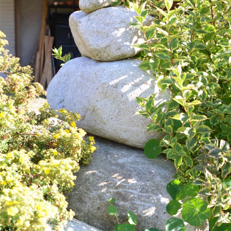 photos page d’accueil Mulhouse 9